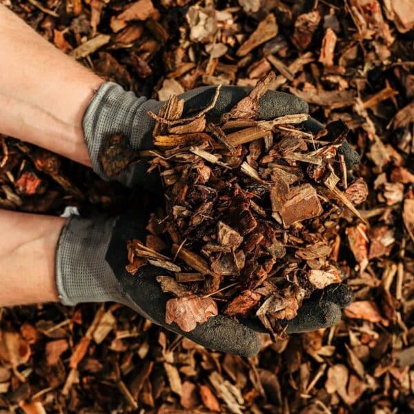 Heart of Eden Decorative Bark 60L bags - Image 3