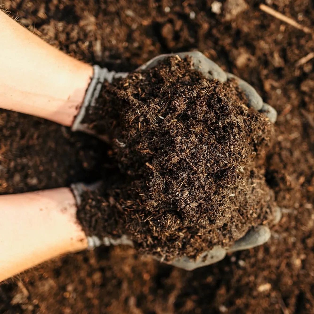 Heart of Eden Peat Free Multi Purpose Compost 50L - Image 3