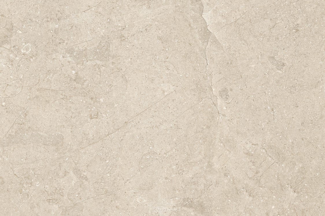 Next Bone Porcelain Outdoor 20mm